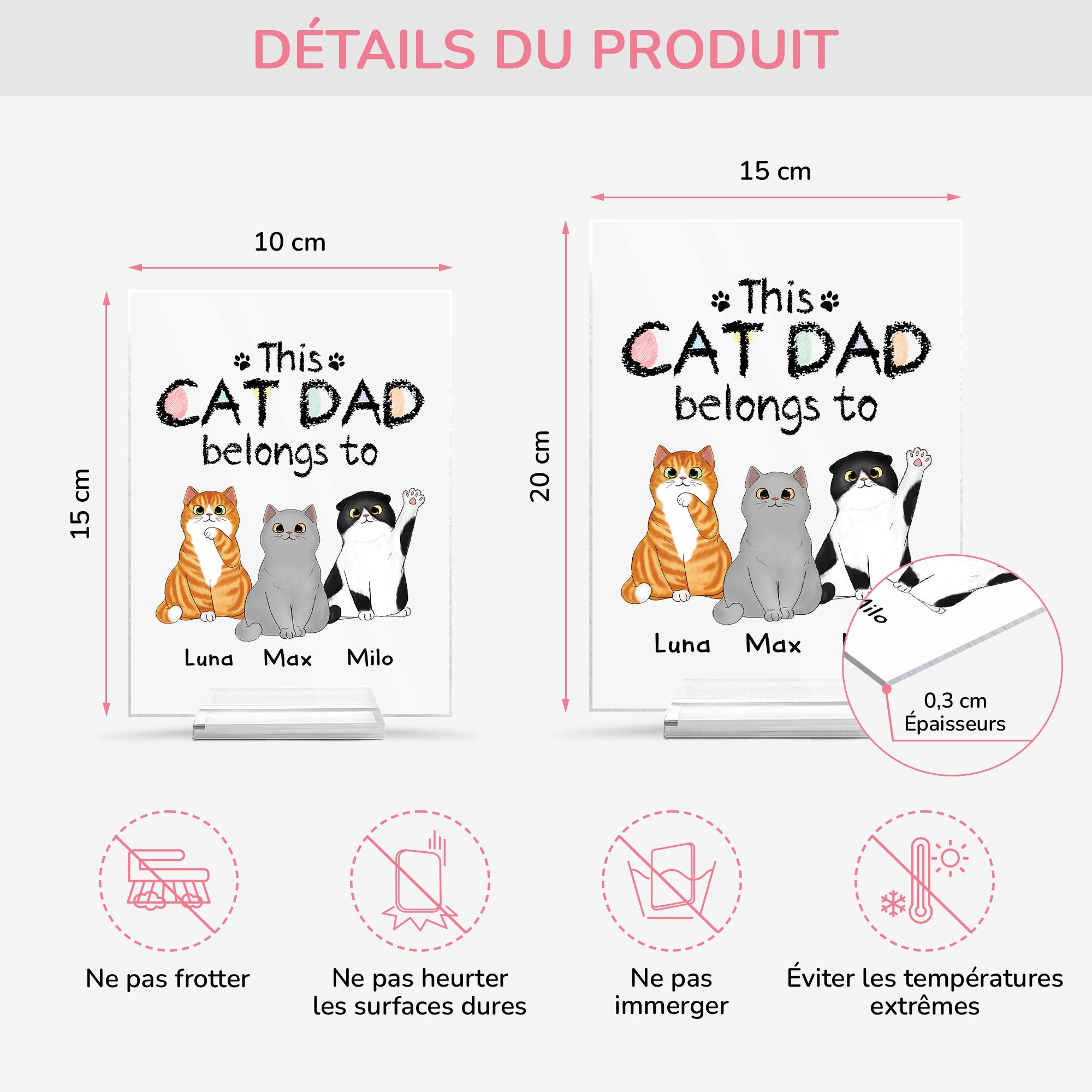 0938RUS4 personalized acrylic plaque with stand gifts for cat lovers 0938R8T8D