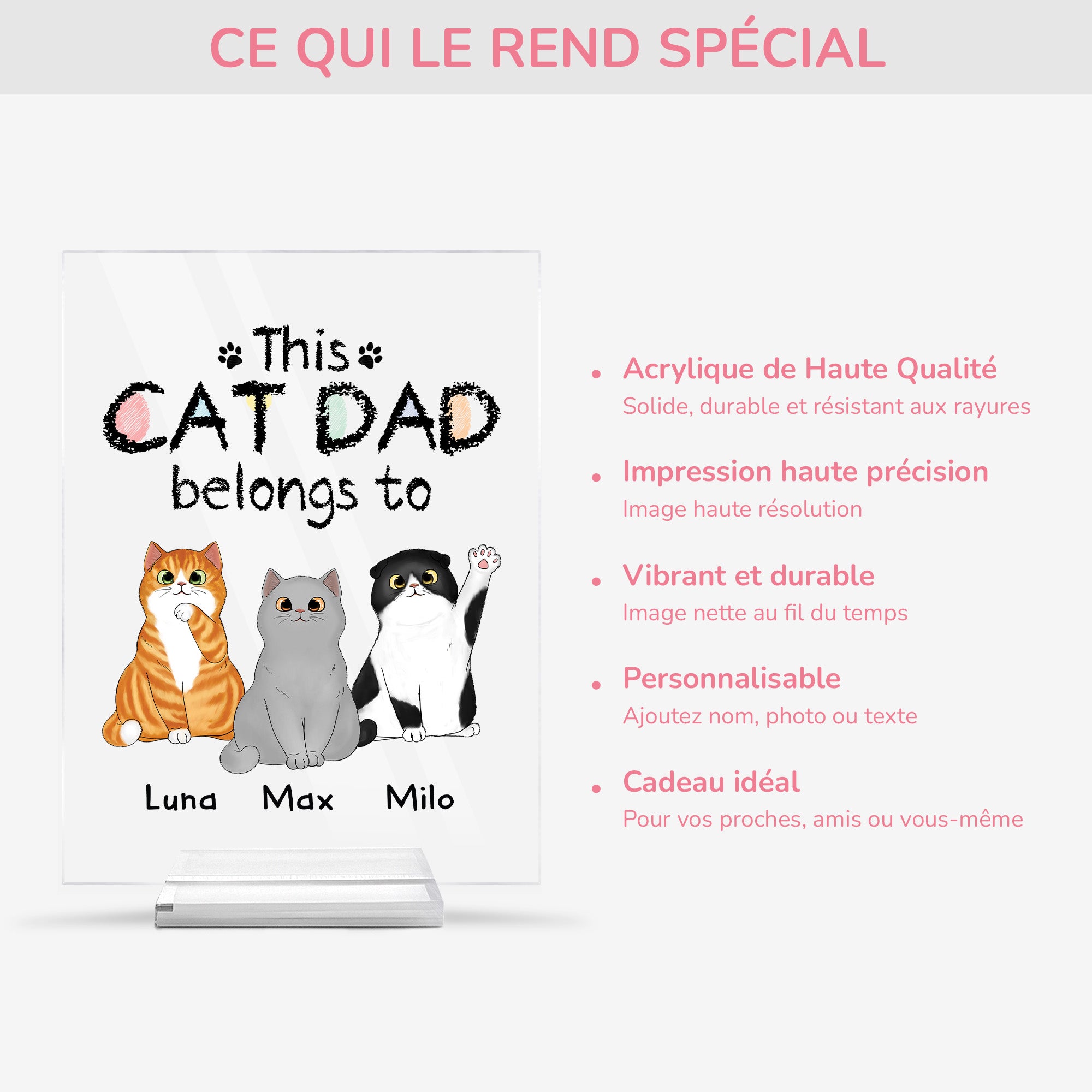 0938RUS5 personalized acrylic plaque with stand gifts for cat lovers 0938R8T8D