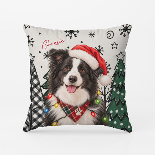 15044PC 2