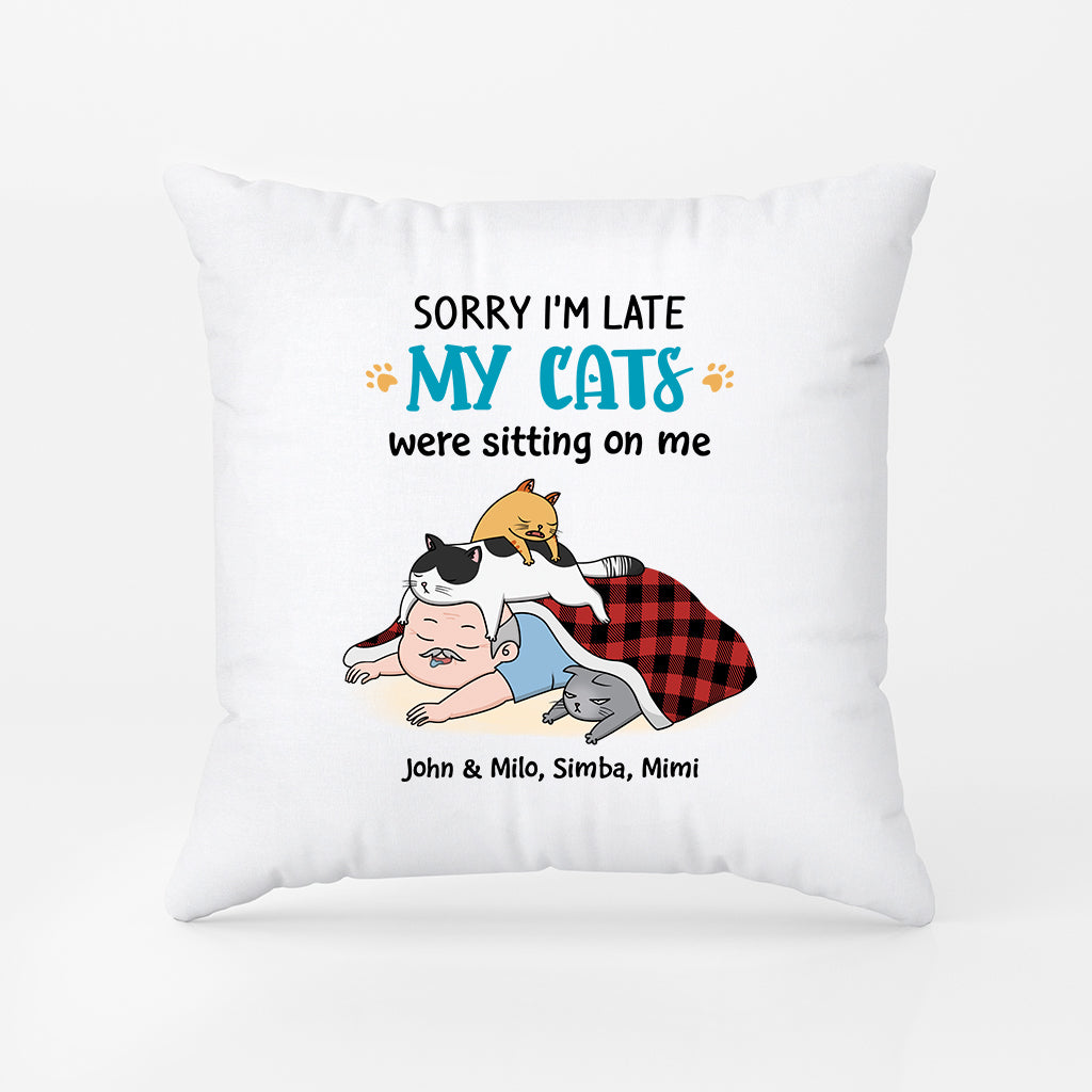 2827PUK2 sorry im late pillow funny personalised cat gifts for owners