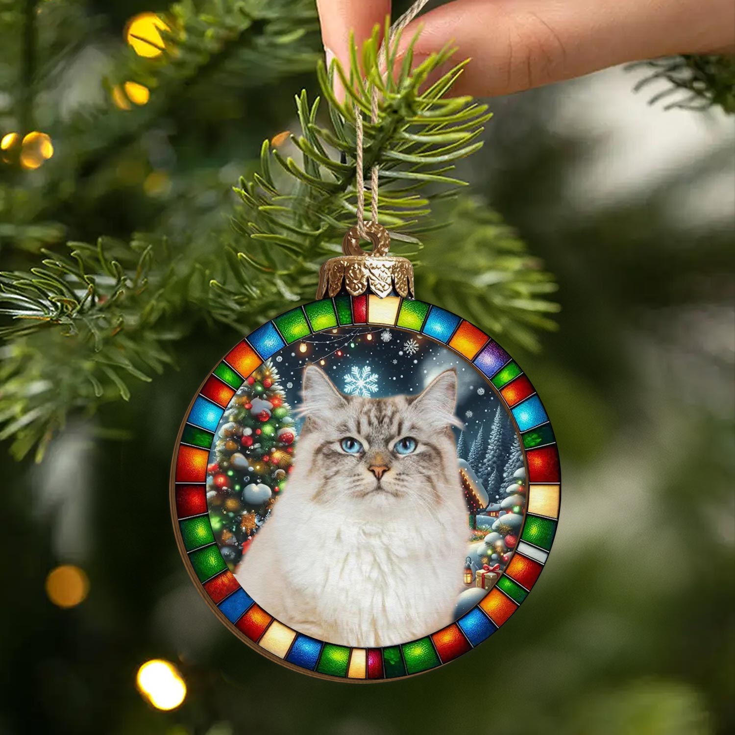 2_313e6ec9 0b5a 46c7 969f 9e3acf9d646b