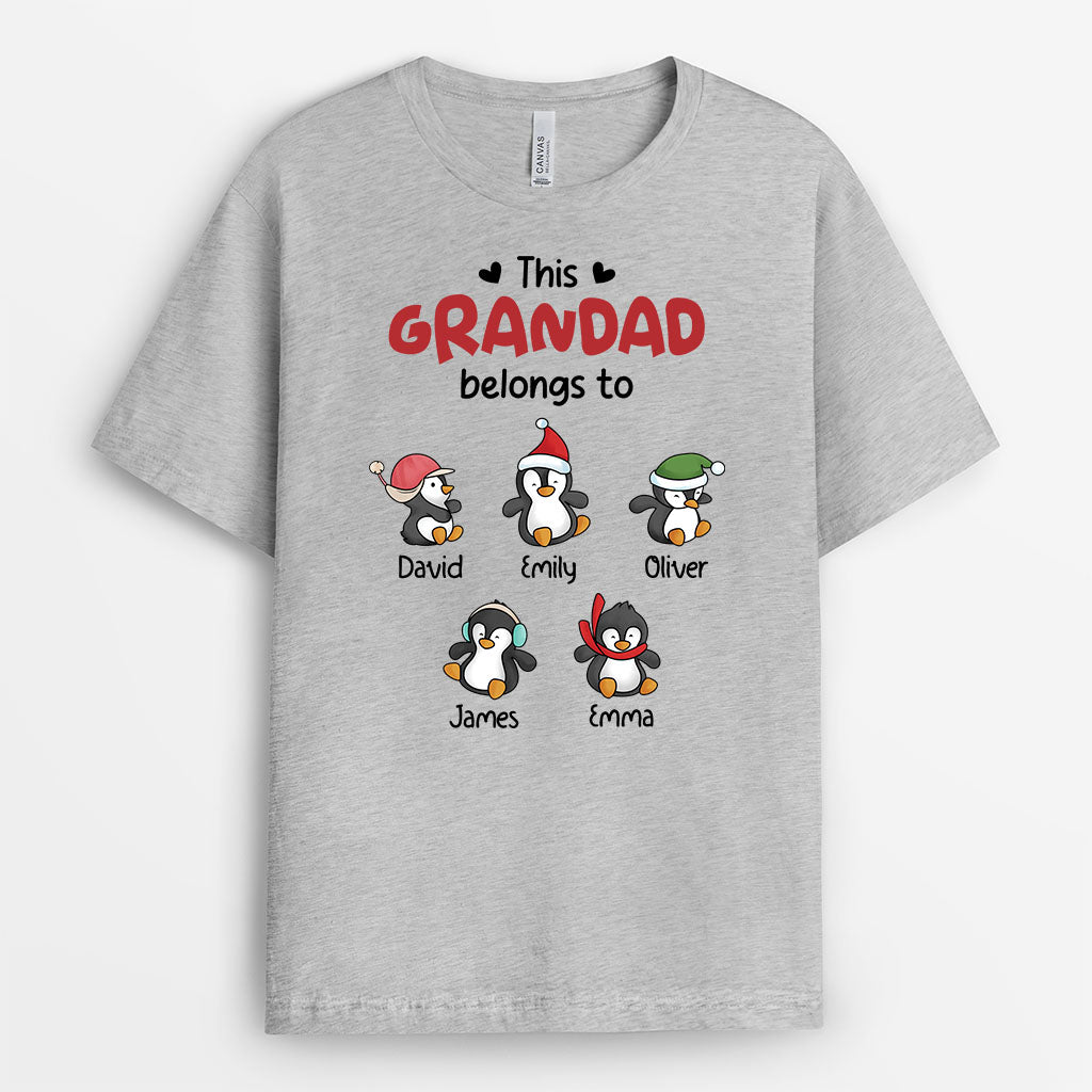 3079AUK2 this grandma belongs to penguin kids customised t shirt for grandma