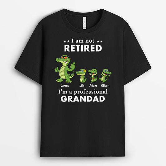 3488AUK1 i am not retired i am a professional grandad t shirt personalised gifts for grandad