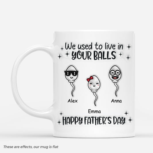 4551MUK1 3d printing effect personalized fathers day gift we used to live in your balls mug_ 4551M
