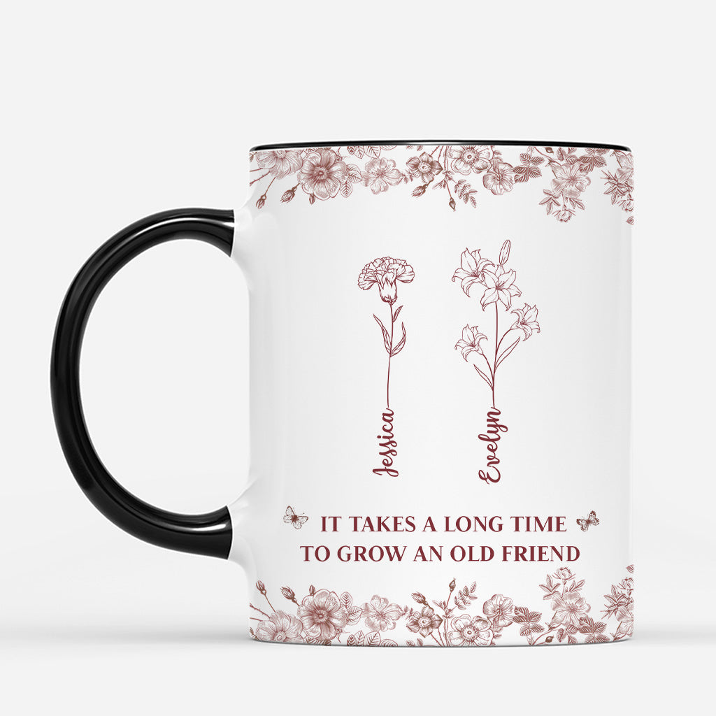 5193MUK2 custom friends mug_ it takes a long time to grow an old friend_ 5193M3YAF