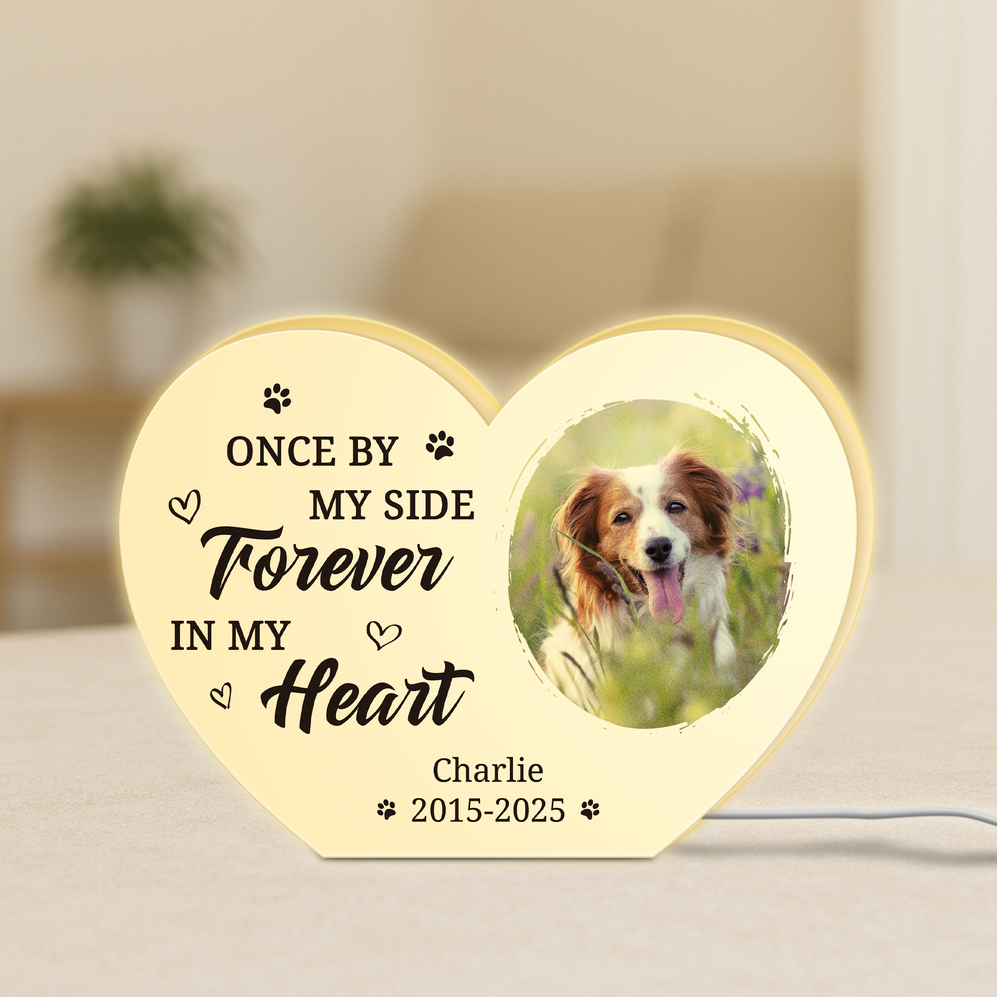 5251LUS1 personalized dog memorial gifts photo light box for dog owners 5251L8H5C_50618536 de3b 4aae 936a 5680023ca96a