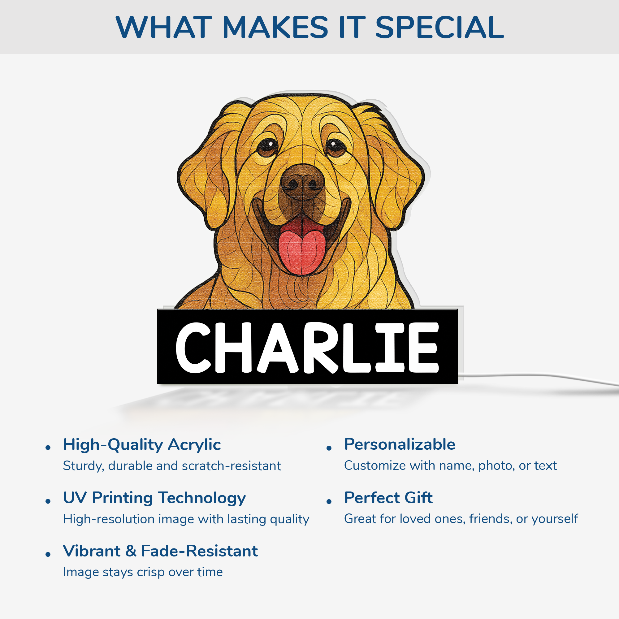 5253LUS4 personalized gifts for dog lovers led light box_es 5253L3N5C