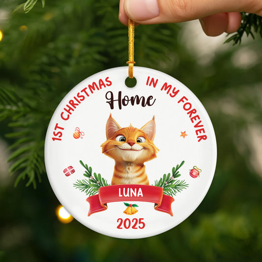 5362OUS2 personalized ceramic ornaments cats first christmas ornament 5362O8VZD