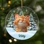 5379OUS1 custom acrylic photo ornaments_ christmas gifts for cat lovers 5379OKQ5D