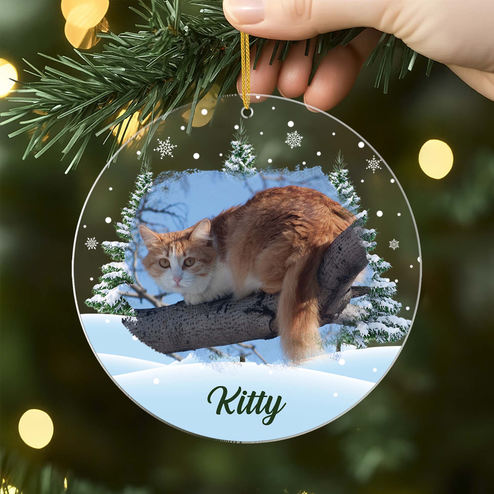 5379OUS2 custom acrylic photo ornaments_ christmas gifts for cat lovers 5379OKQ5D