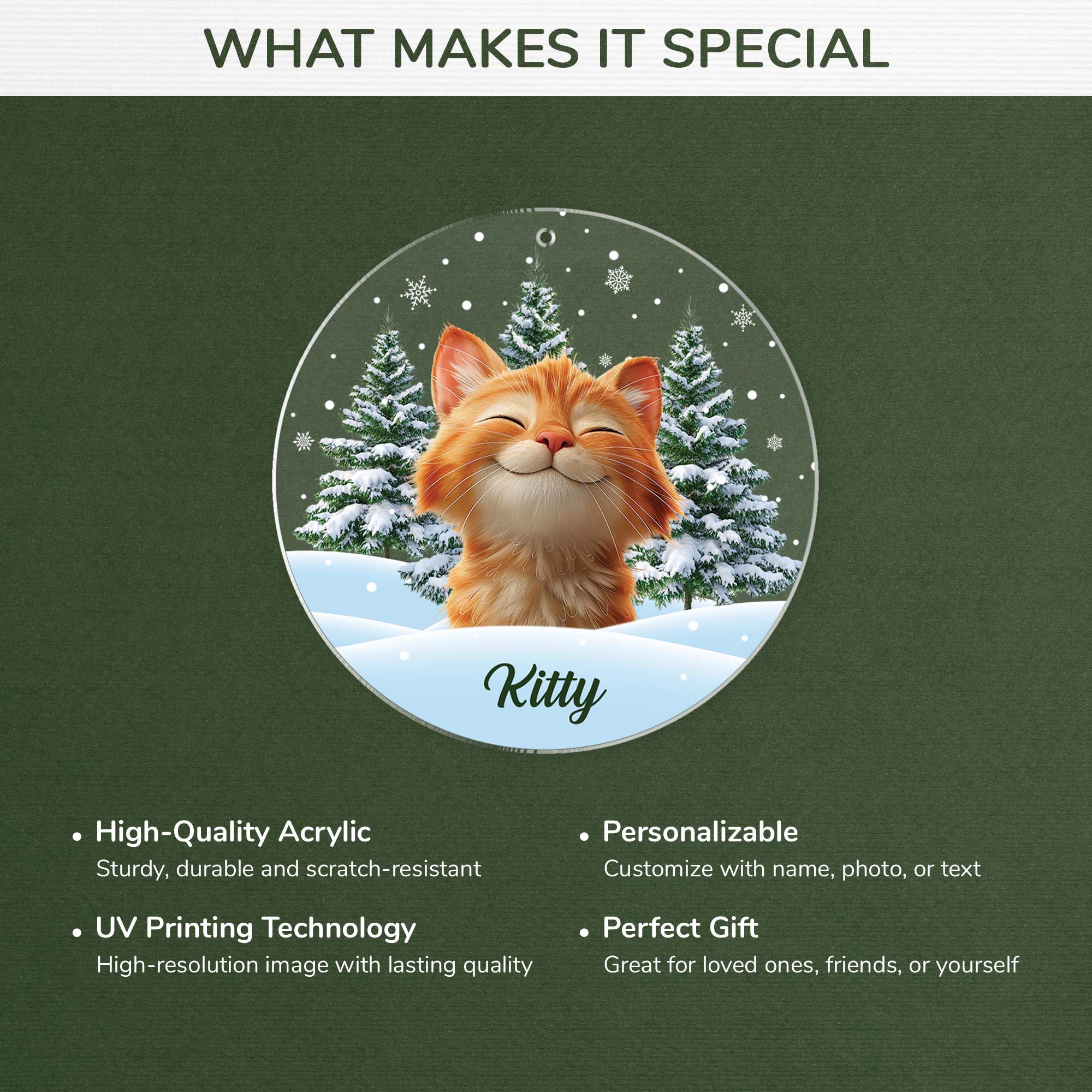 5379OUS4 custom acrylic photo ornaments_ christmas gifts for cat lovers 5379OKQ5D