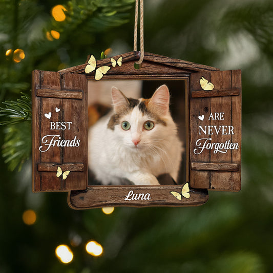 5467OUK1 personalized pet memorial gifts 2 layered wooden ornaments 5467O3ZTD