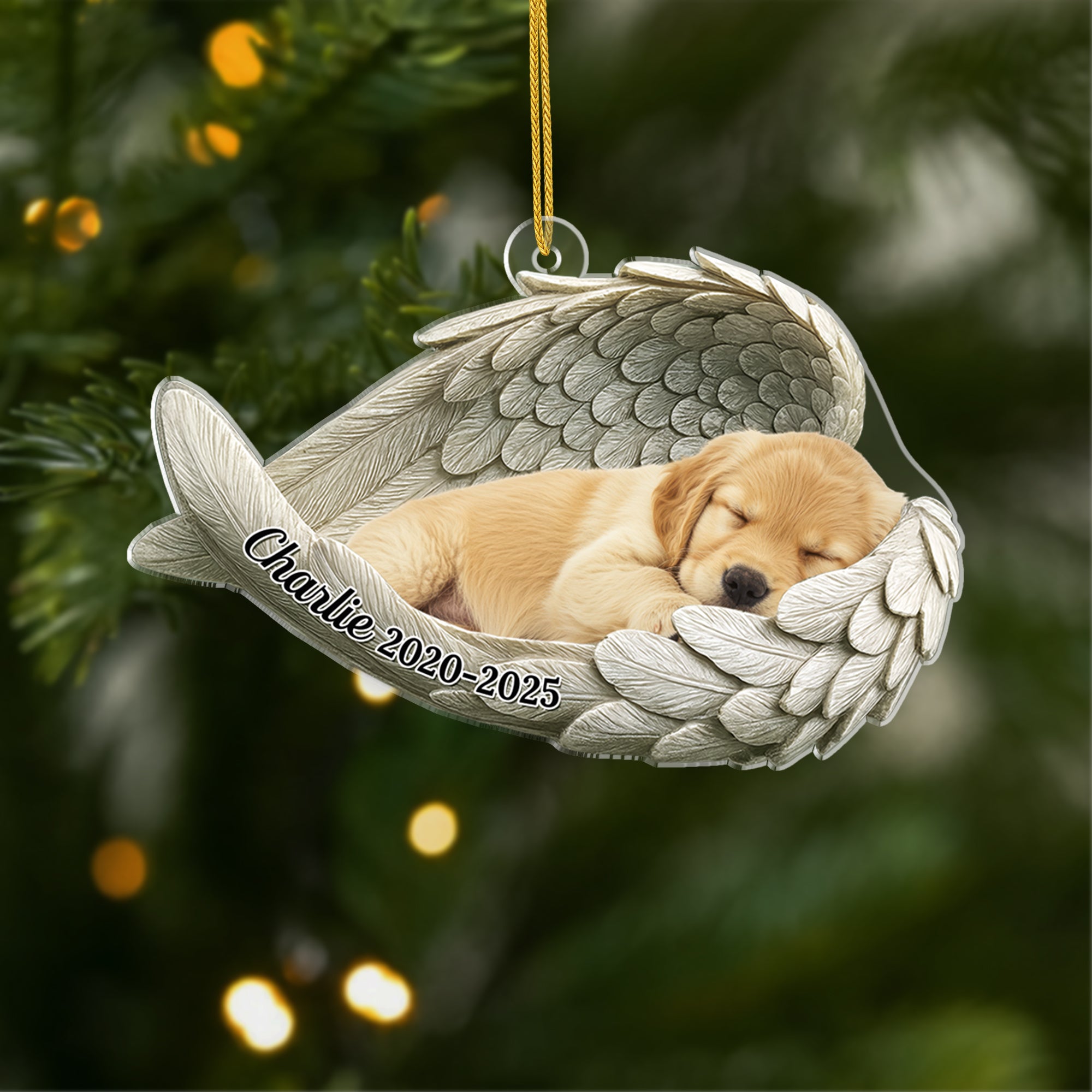 5697OUS1 personalized pet memorial gifts acrylic ornaments_ with photo 5697O8QNC