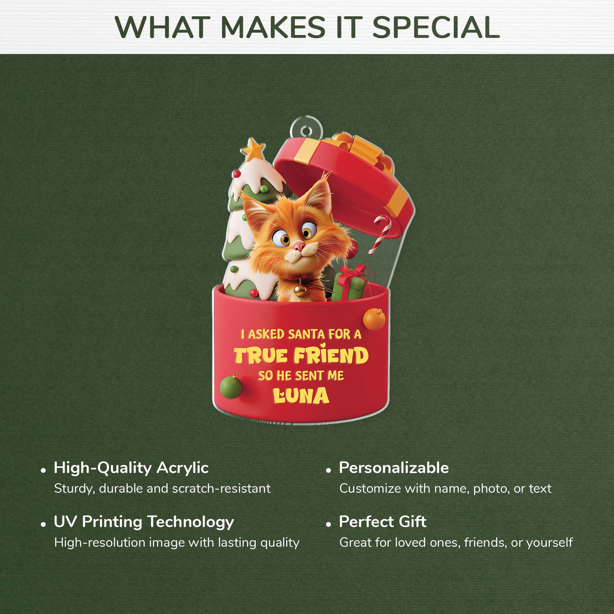 6098OUS4 3d printing effect personalized cat christmas ornaments acrylic  6098OKLAD