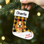 6193OUS1 acrylic christmas stocking ornaments custom gifts for dog lovers 6193OK6AC2