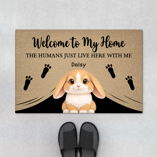 8143DUS1 personalized rabbit doormat welcome to my home doormat 8143dak5i
