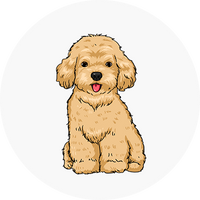 PERSONALCHIC GIFT FOR DOG LOVERS_40c2c7e9 7c29 48cc b1c4 b7b1ffe6a7f7