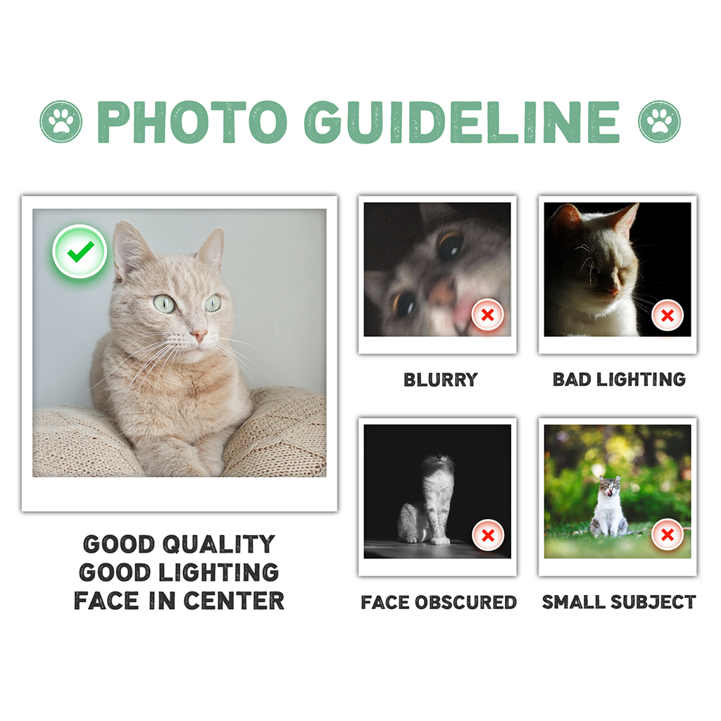 PHOTOGUIDELINEMEO_78071789 7858 4b85 8432 c1c3e03d08ee