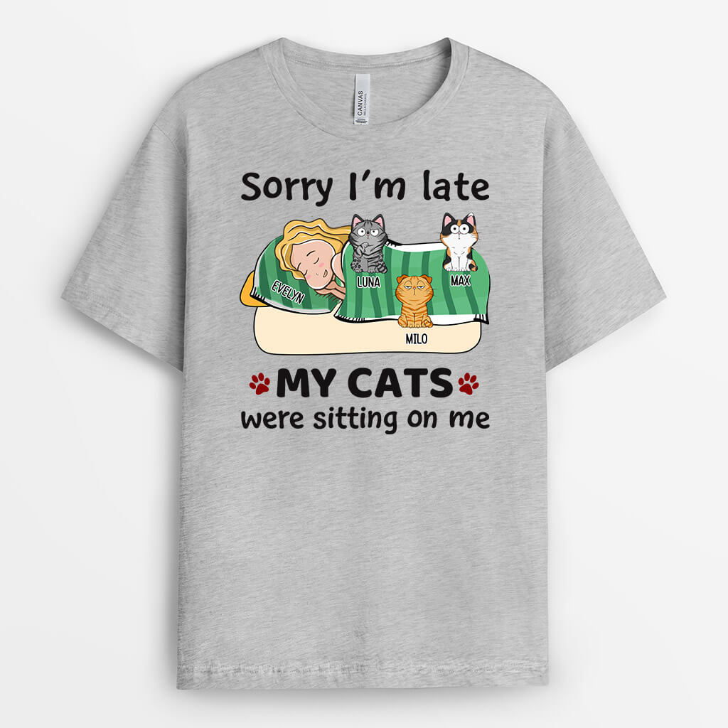 Personalised My Cats Were Sitting On Me T-Shirt