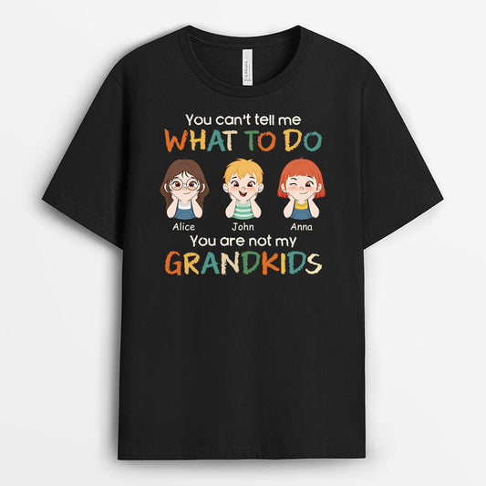 1630AUK1 personalised you cant tell me what to do t shirt