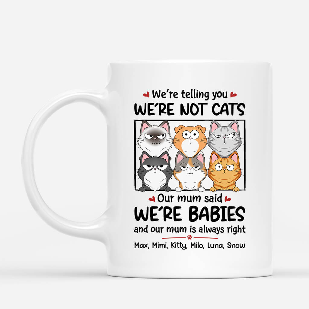 Personalised We're Not Cats, We're Babies Mug