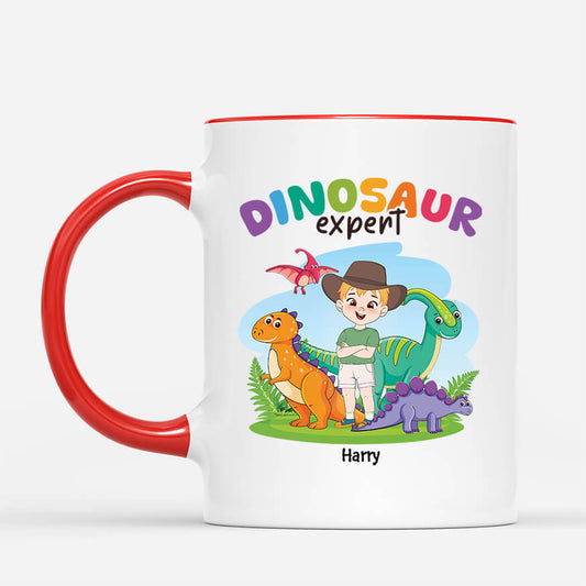 2675MUK2 dinosaur expert  custom printed mugs for kids girls