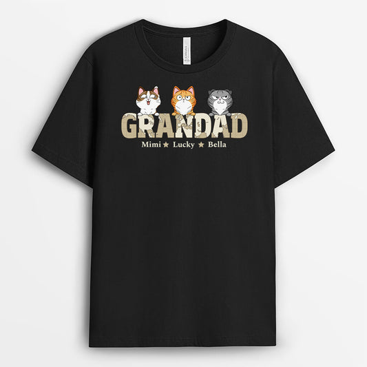 3410AUK2 papa cat themed t shirt  personalised gifts for cat dad