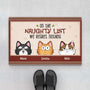 3516DUK1 on the naughty list we regret nothing christmas doormat  personalised gits for cat lovers