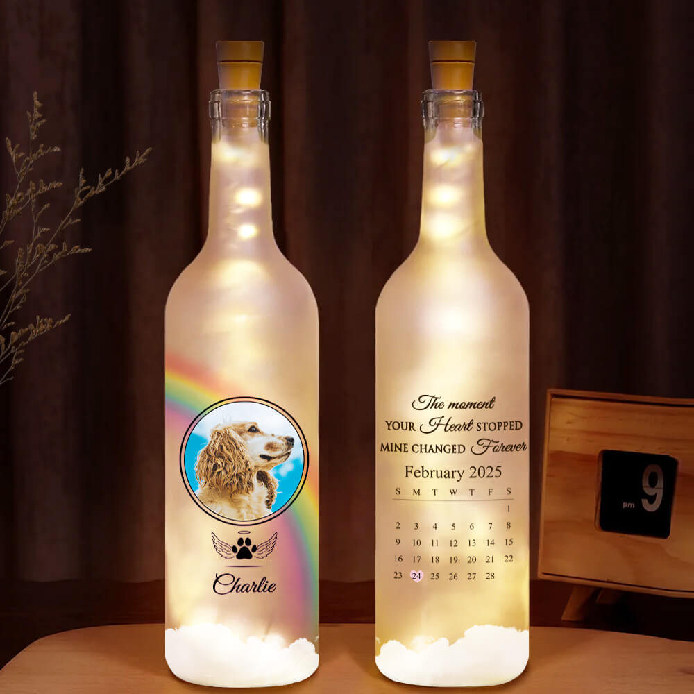 3904LUK1 personalised the moment your heart stopped mine changed forever bottle light for dog owners 3904L