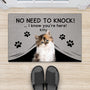 4291DUS2 custom gifts for cat lovers funny no need to knock doormat_ 4291D8Q3D
