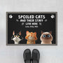 4414DUK1 custom cat doormat funny cat gifts spoiled cats live here  4414D