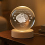 5408LUS2 custom photo crystal ball lamp in loving memory of cat gifts 5408LKQ5D_ff8ccb45 4a72 4216 9f73 3b348b08c2ad