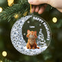 5867OUS2 3d printing effect acrylic cat christmas ornaments gifts for cat lovers 5867OKQMD