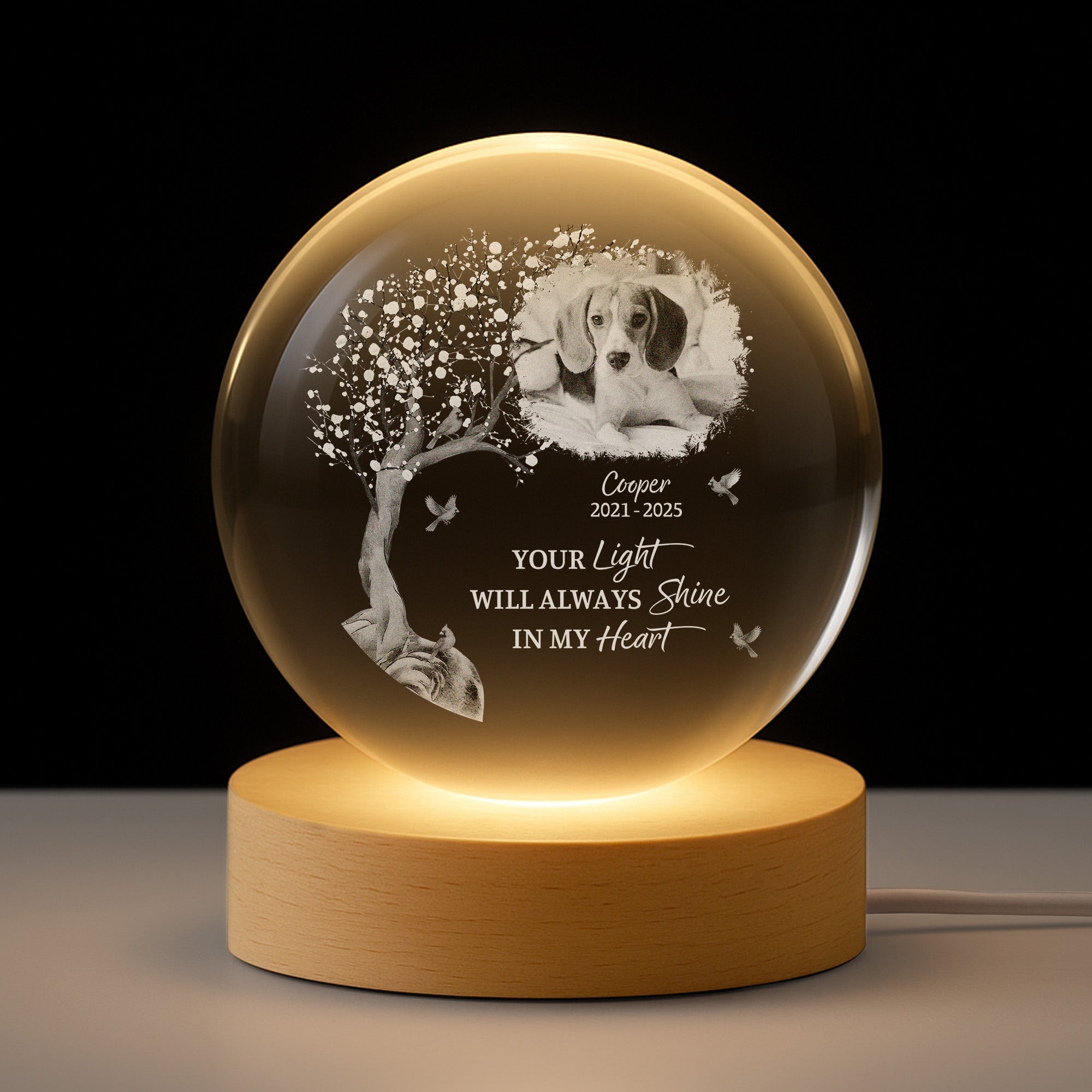 6138LUK1 crystal ball lamp with photo personalized pet memorial gifts 6138L3ZCB