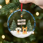 6439OUS2 personalized glass christmas ornaments gifts for dog lovers 6439O