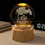 7529LUS1 custom 3d crystal ball lamp growing old together gifts for couples 7529LTPWG