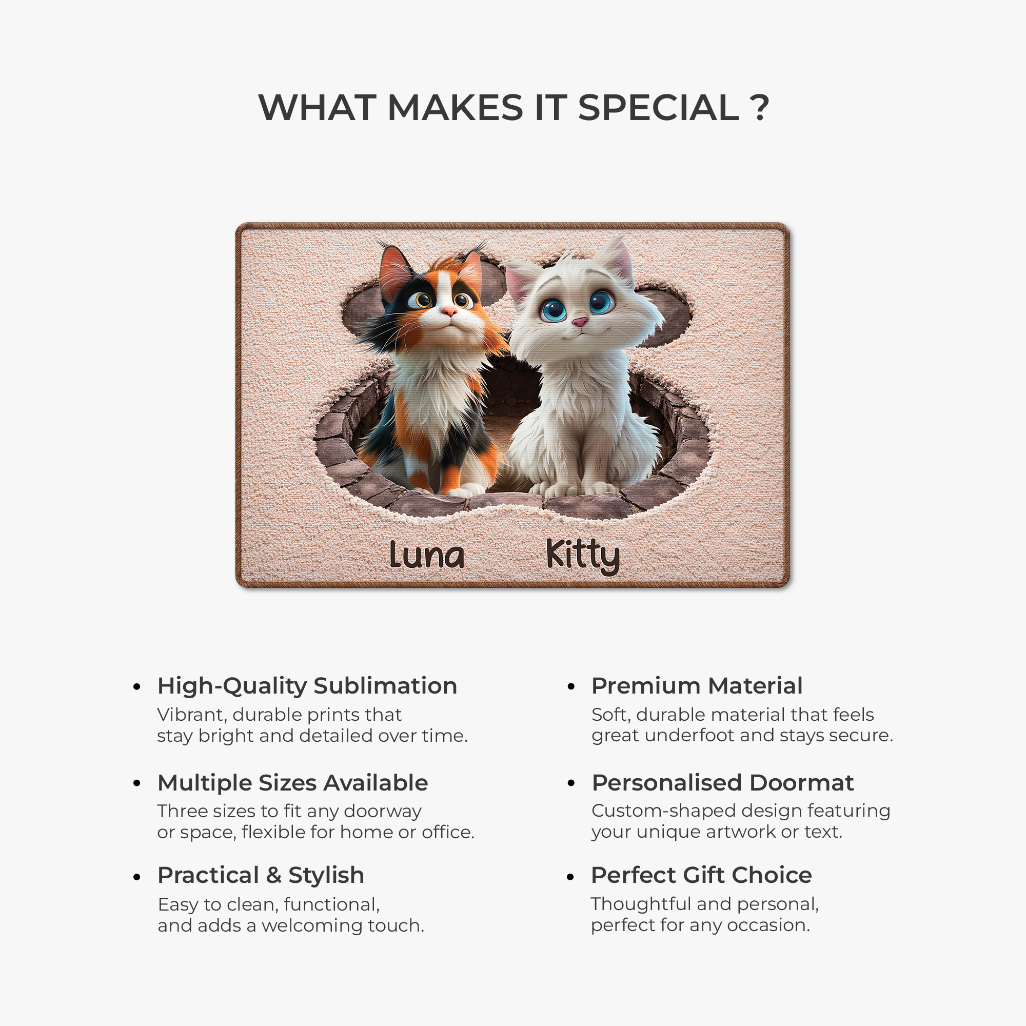 8565AUK6 3d printing effect custom shaped doormat for cat lovers 8565adsfnd