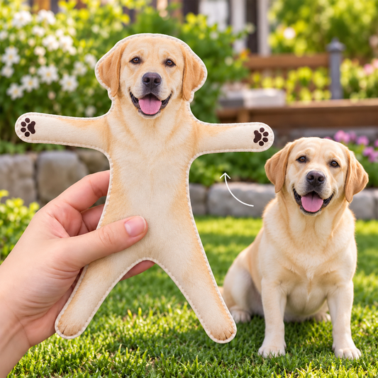 LabradorRetriever_363616f0 2d75 4fb8 8e9a 2b1169d25701