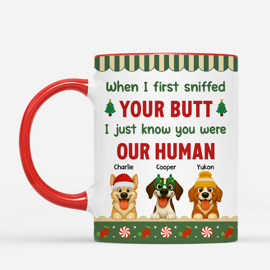 U2_0ba4c040 bb6b 4066 bfc3 63db13265732